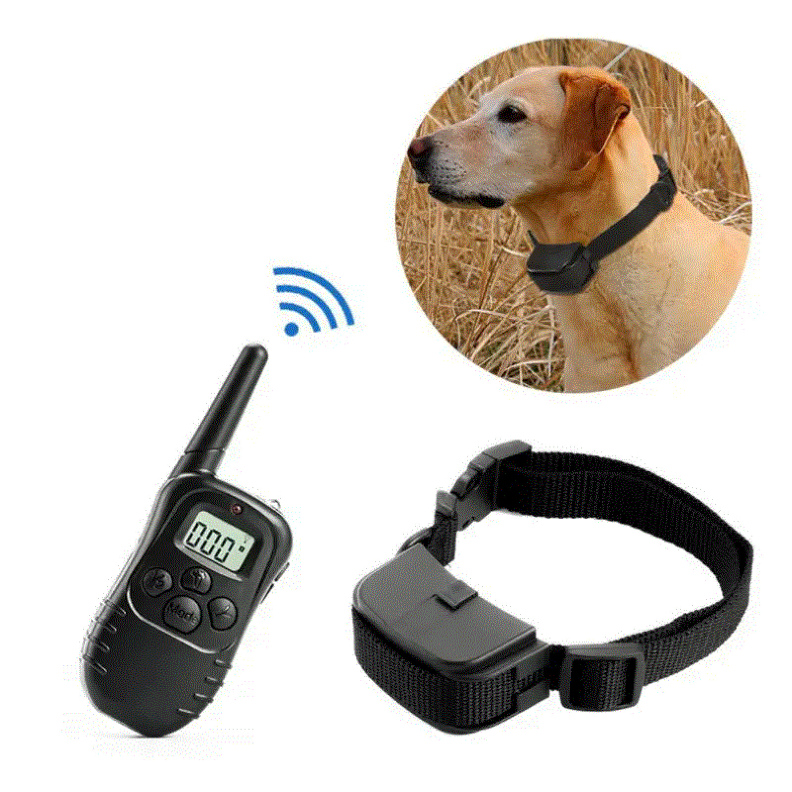 Электронный ошейник для дрессировки собак Dog Training PR5 205671