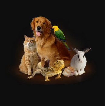 Товары для домашних животных и птиц