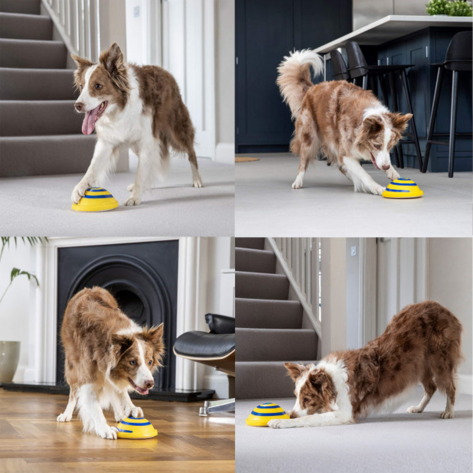 Игрушка для домашних собак диск с пищащим звуком WOOF GLIDER 171287