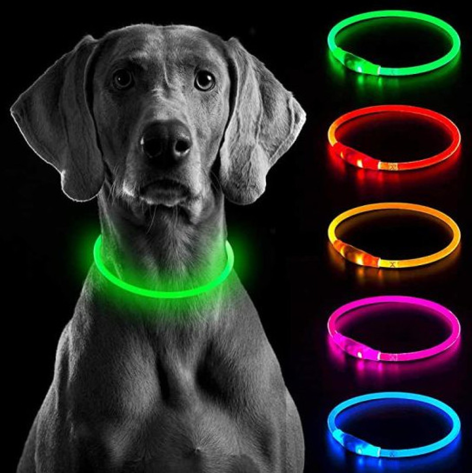 Светящийся ошейник для собак длина 70 см 207345